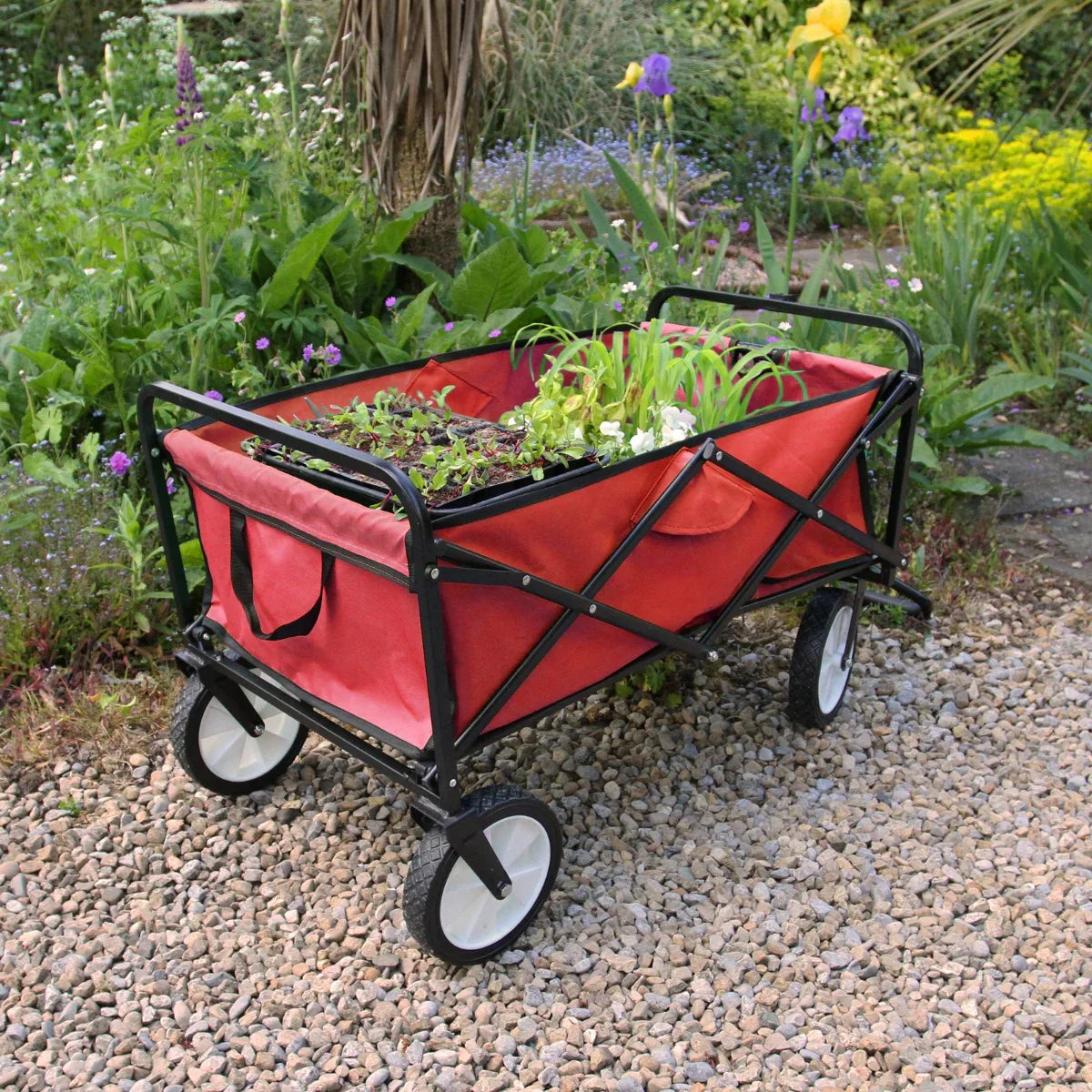 Foldable garden cart in vibrant red with a sturdy black frame, filled with plants, set on a gravel path surrounded by greenery