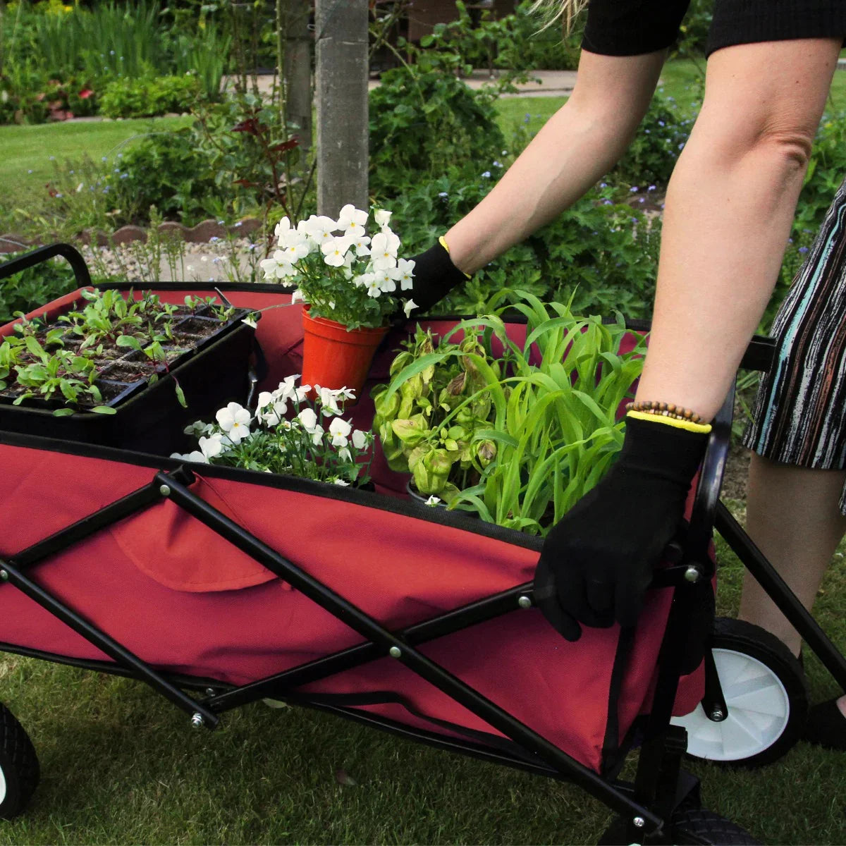 Foldable garden cart in vibrant red, filled with potted plants and soil, featuring sturdy black wheels and a collapsible design