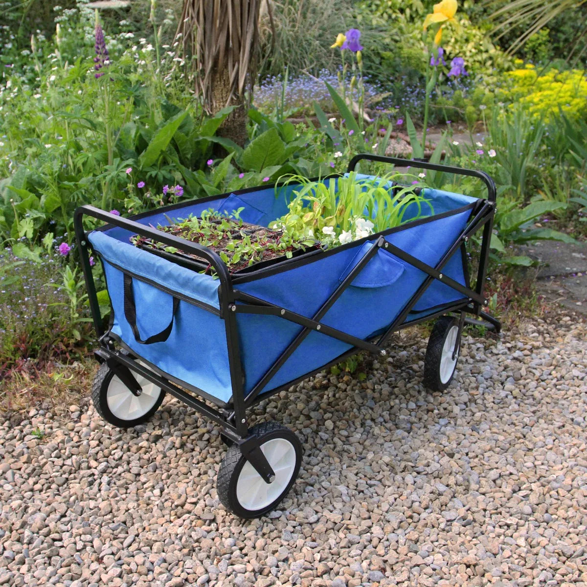 Foldable garden cart in vibrant blue with a sturdy black frame, filled with plants, set on a gravel path surrounded by flowers