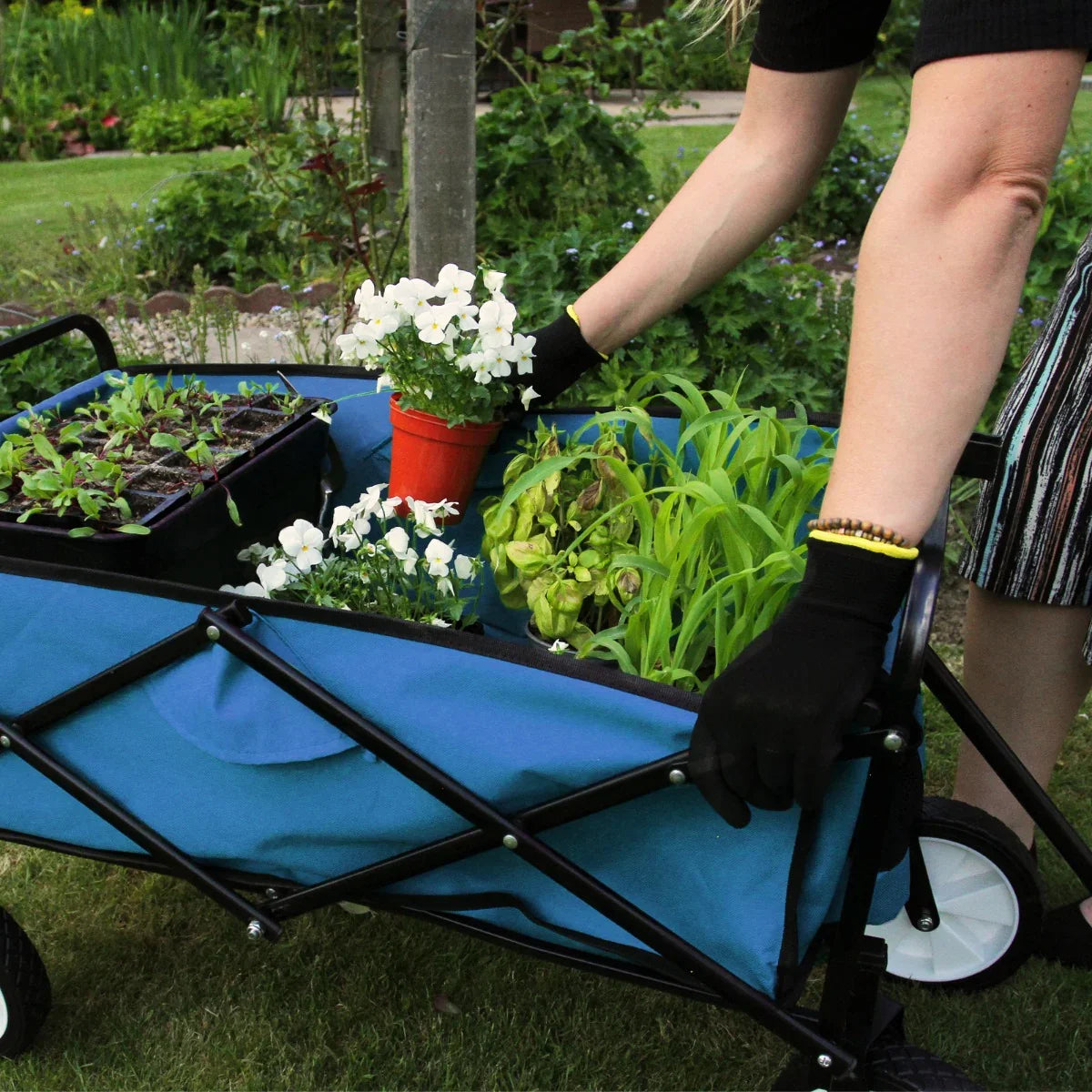 Foldable blue garden cart with black handles, filled with potted plants and flowers, set in a vibrant garden backdrop
