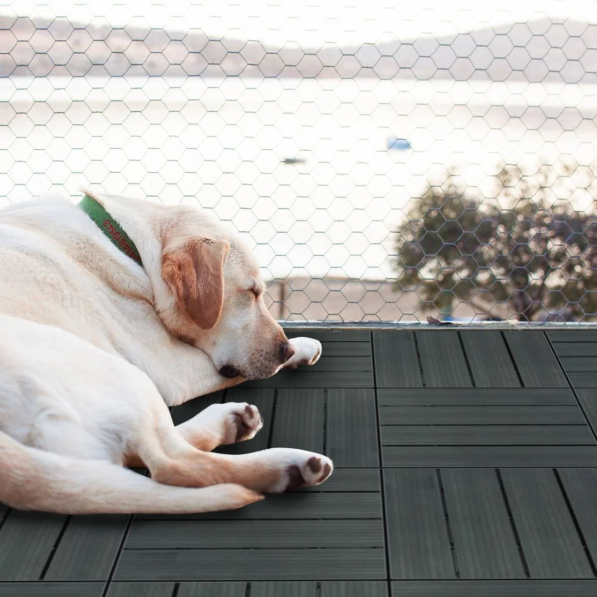 Grey WPC decking floor tiles, 30x30cm, arranged neatly with a sleeping dog on a serene outdoor patio by the water