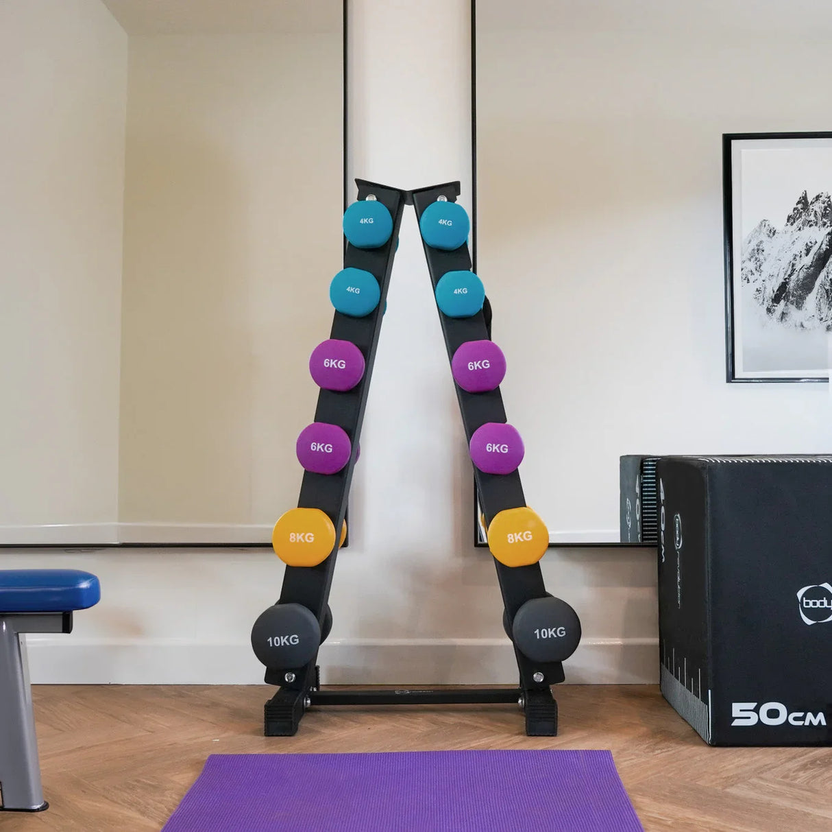 Neoprene dumbbells set on a black rack, featuring vibrant weights in blue, purple, and orange, ideal for home workouts