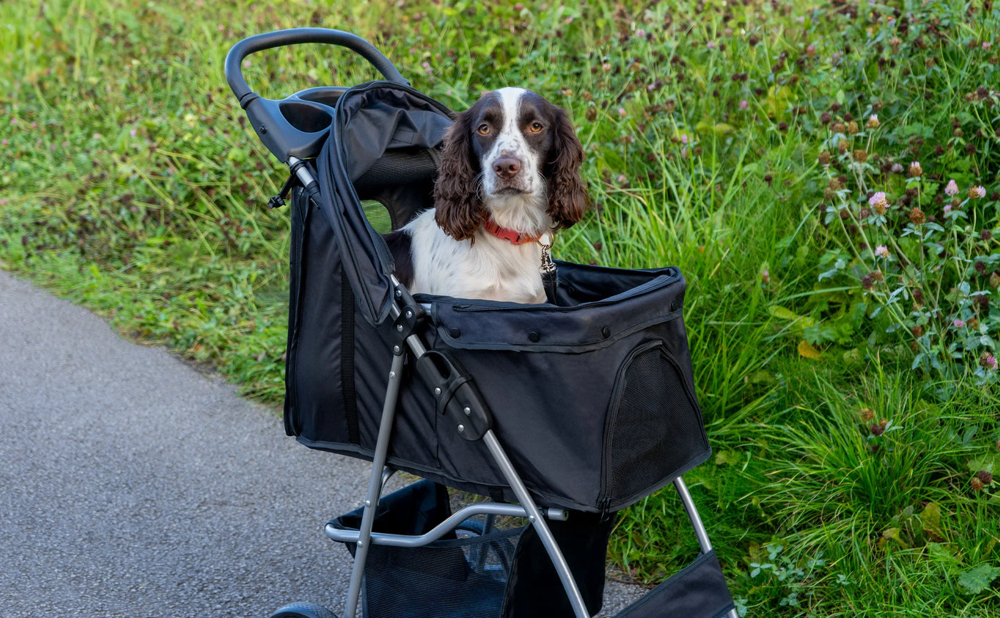 A brown and white spaniel sits comfortably in a black pet stroller, surrounded by green grass and wildflowers on a sunny day