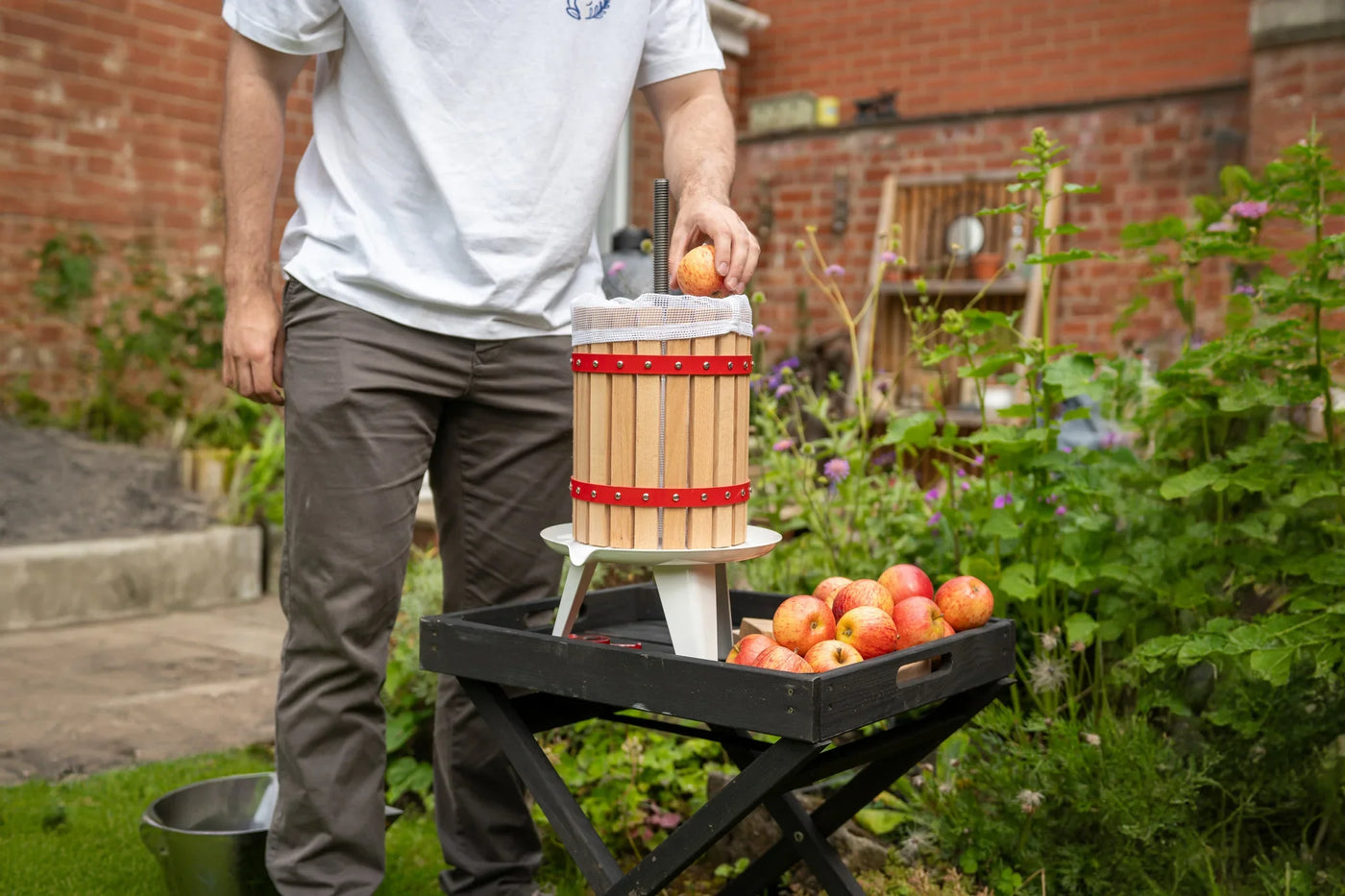 A person places an apple into a wooden cider press surrounded by fresh apples, set in a vibrant garden with greenery and brick walls