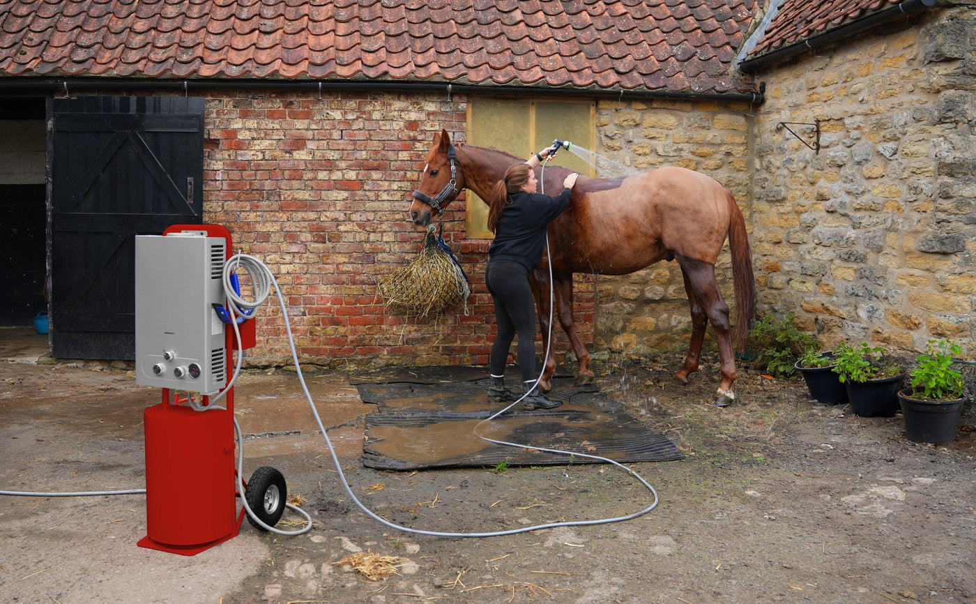 A person washes a brown horse with a red portable pressure washer in a rustic stable, surrounded by stone walls and hay
