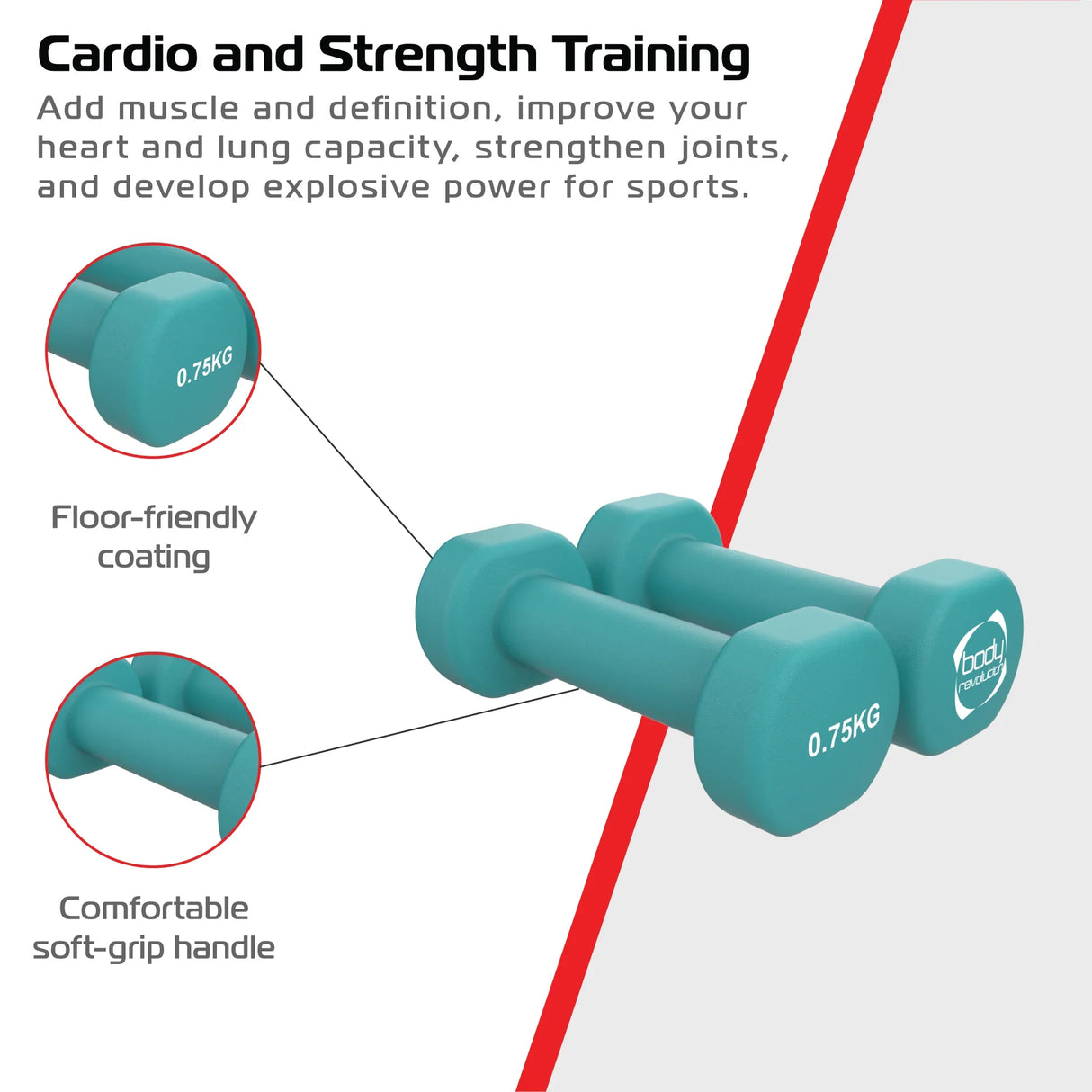 Neoprene dumbbells in teal, featuring a soft-grip handle and floor-friendly coating, ideal for strength training and fitness workouts