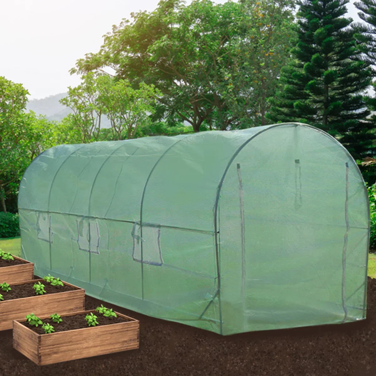 Polytunnel 19mm 5m x 2m with racking, featuring a transparent green cover, curved shape, and wooden planter boxes in the foreground