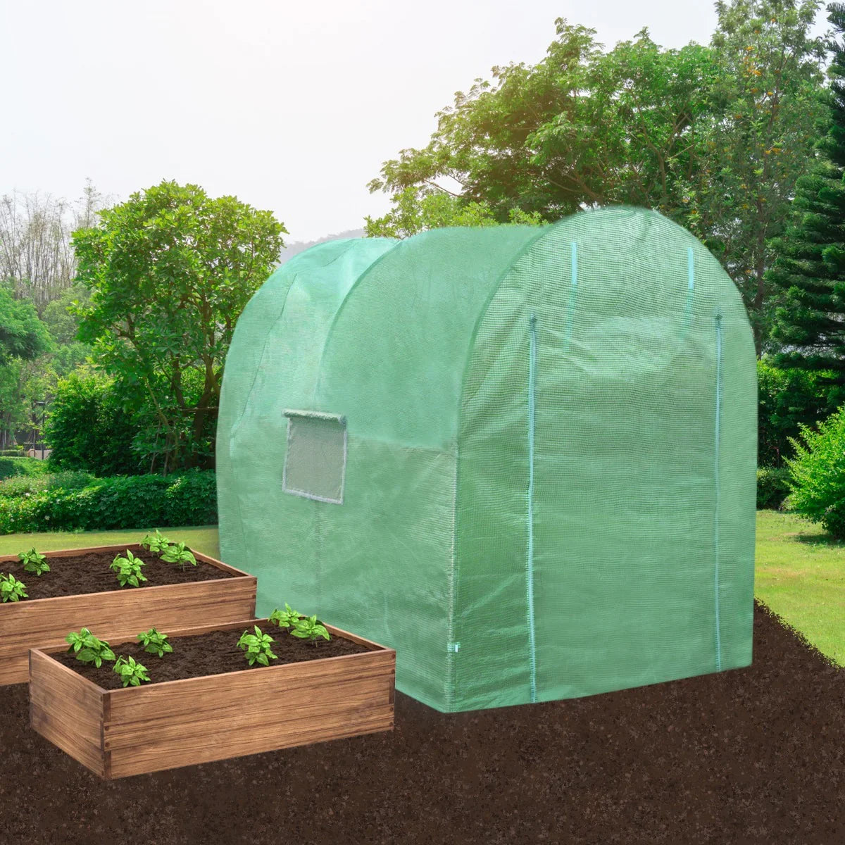 Green polytunnel greenhouse, 2.5m x 2m, with a transparent cover, set in a garden beside wooden raised beds with young plants