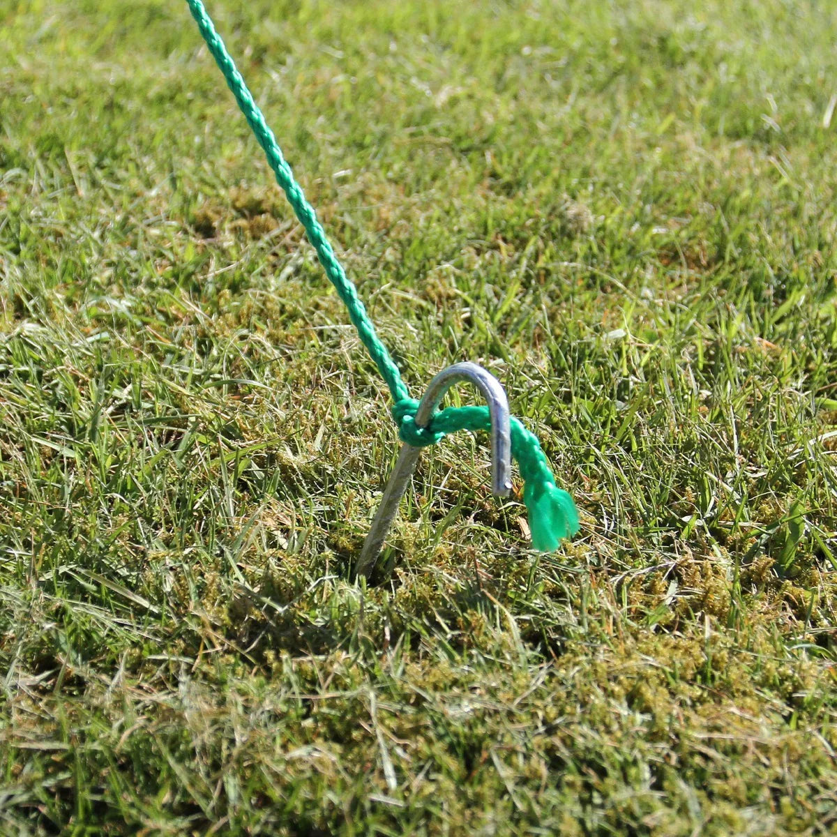 Green securing peg anchored in grass, part of a Polytunnel 19mm 2.5m x 2m, ensuring stability and support for the structure