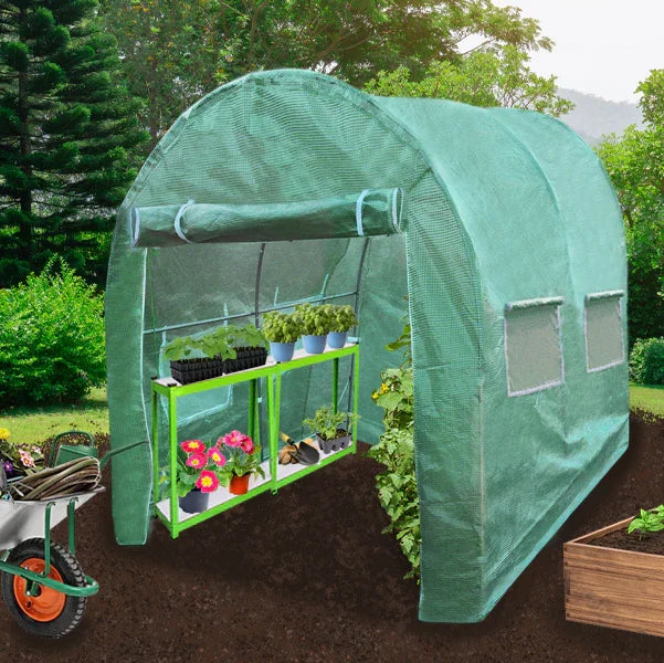 Polytunnel 25mm 4m x 2m with racking, featuring a green mesh cover, side windows, and vibrant plants on shelves inside