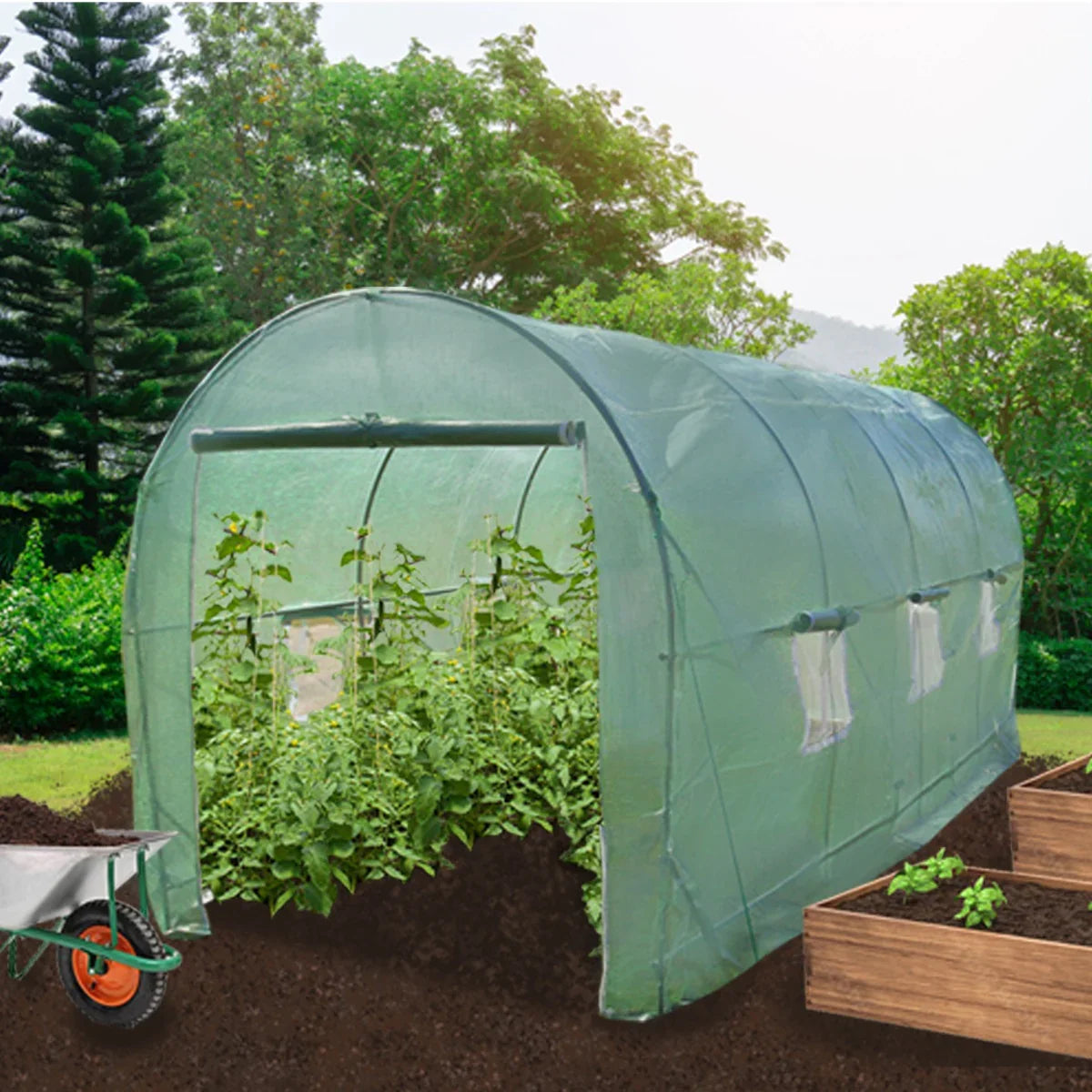 Polytunnel greenhouse, 6m x 3m, with a transparent cover, showcasing vibrant green plants inside, set in a garden environment
