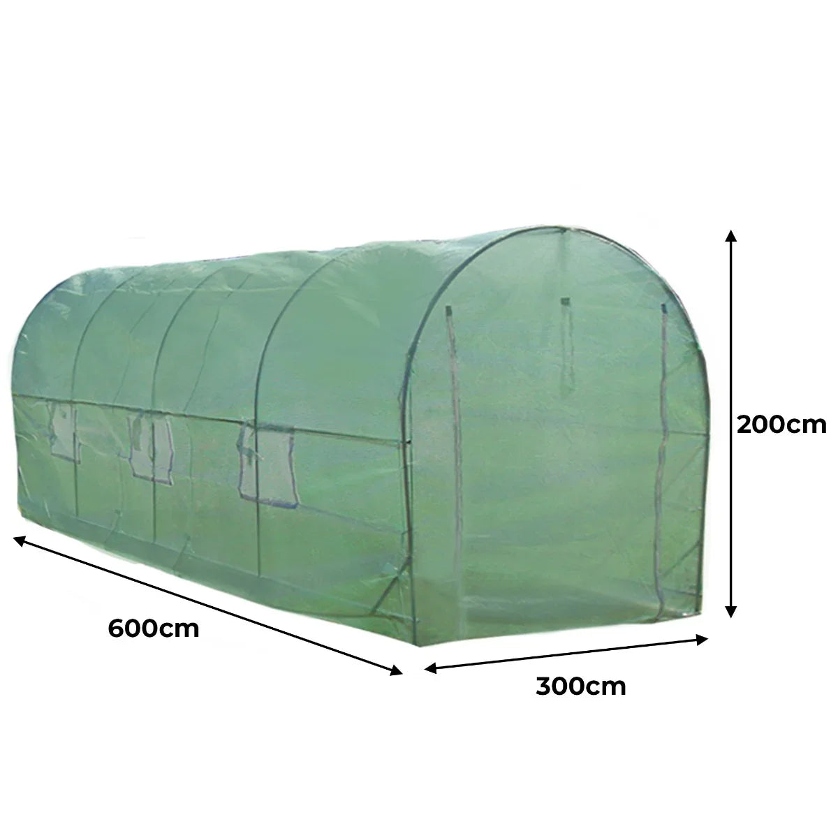 Green polytunnel greenhouse measuring 6m x 3m, featuring a curved top, transparent cover, and multiple ventilation windows