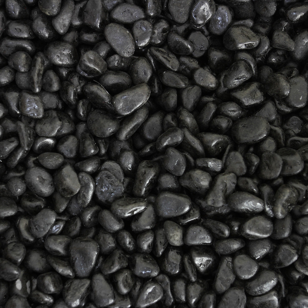 Aquarium Fish Tank & Cabinet with Complete Starter Kit - White Tank & Black Gravel