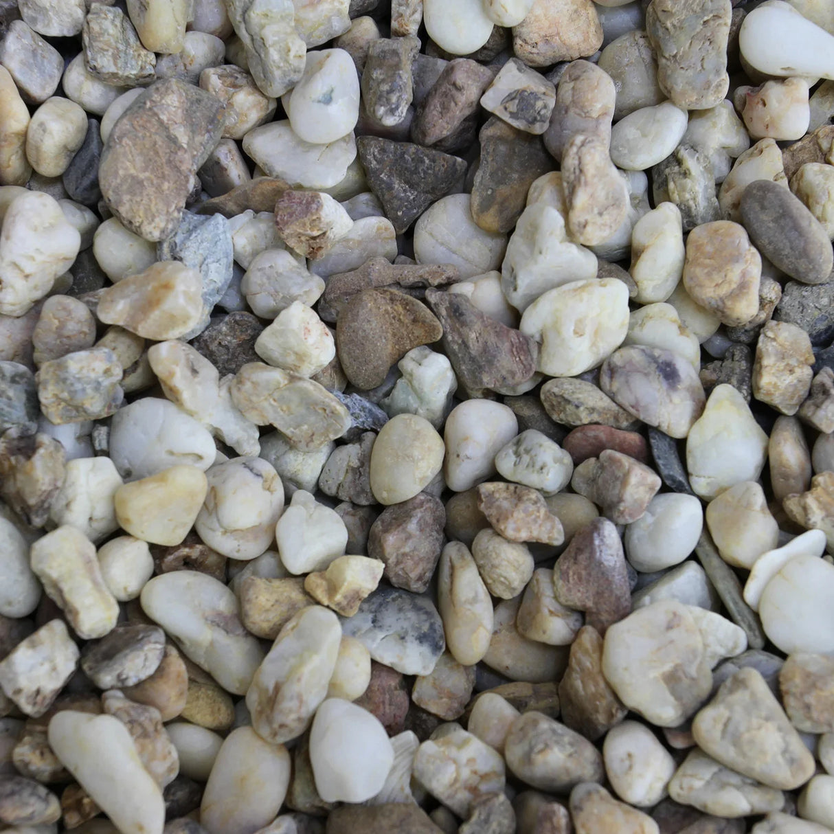 Natural gravel in various shades of beige and brown, ideal for aquarium substrate, providing a textured base for aquatic plants and fish