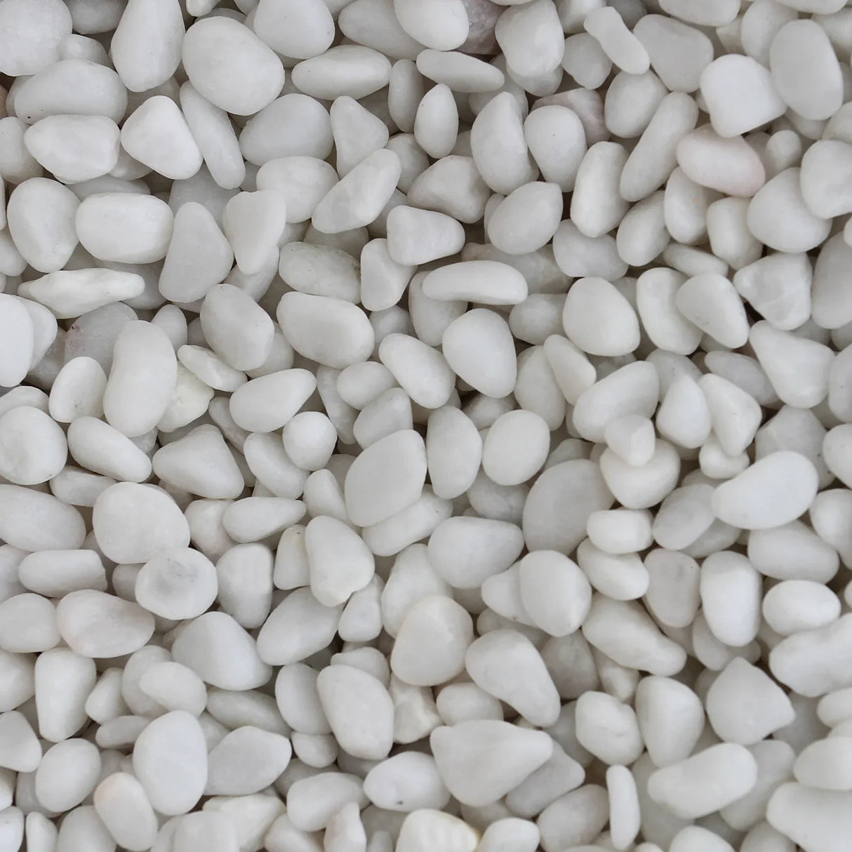 White aquarium gravel featuring smooth, rounded stones in various sizes, ideal for enhancing aquatic environments and aesthetics