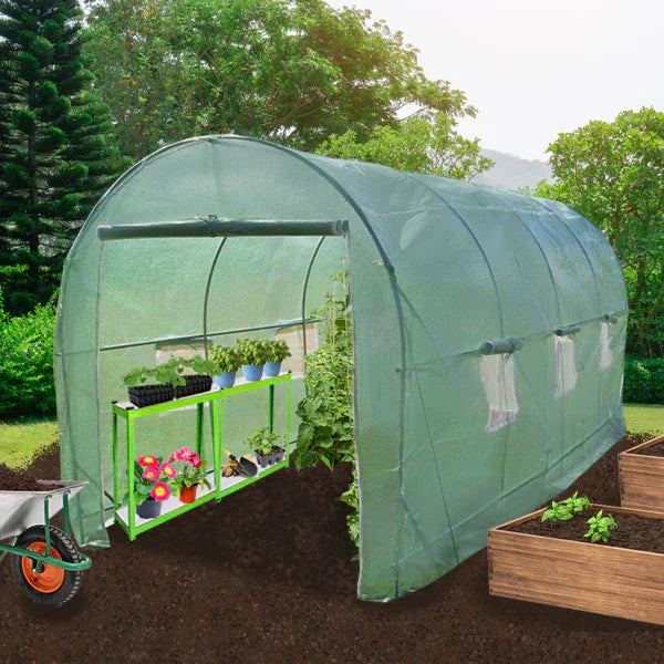 Polytunnel 19mm 5m x 2m with racking, featuring a green mesh cover, plants on shelves, and a garden setting with raised beds