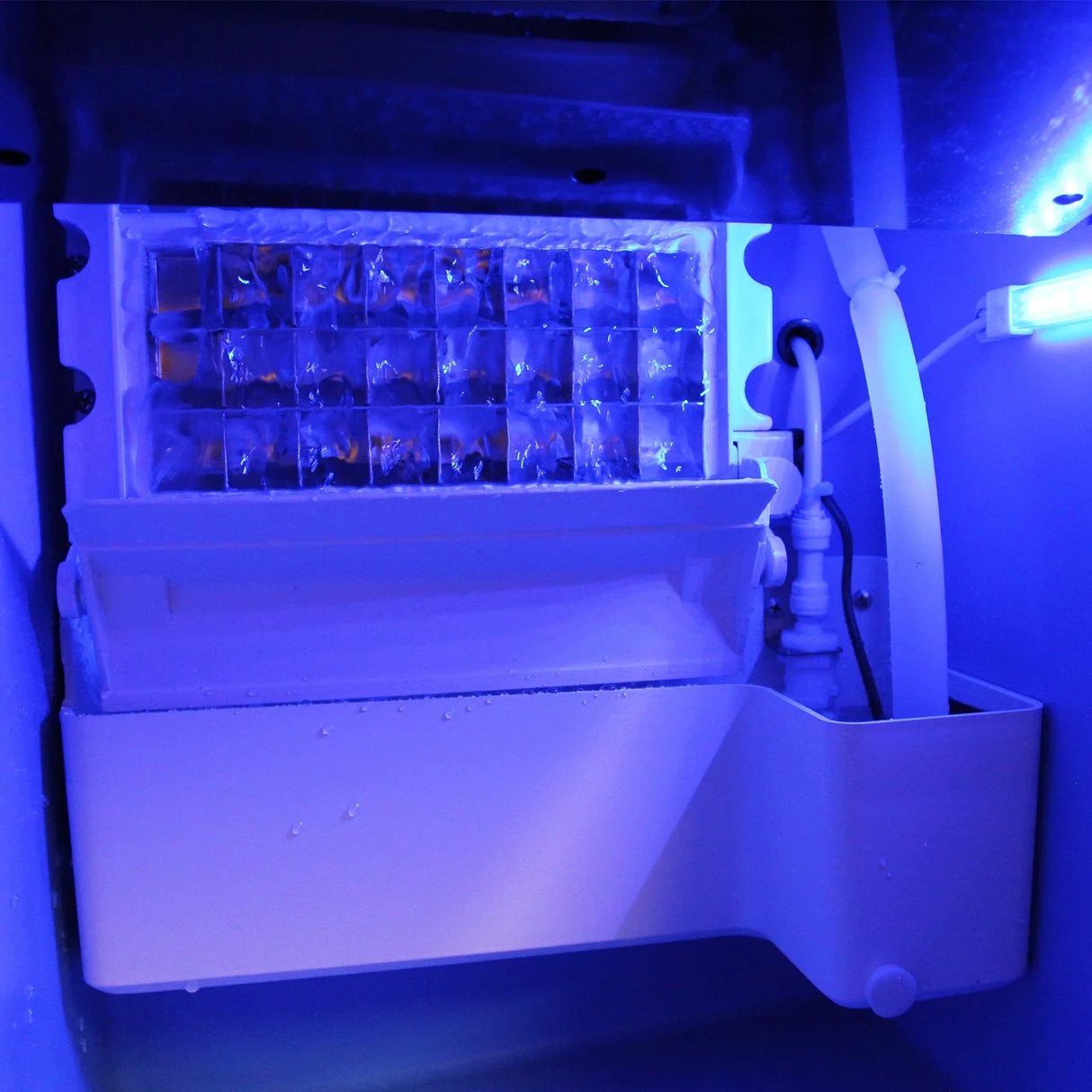 KuKoo Commercial Ice Machine interior showing ice storage bin, clear ice cubes, and blue LED lighting for visibility