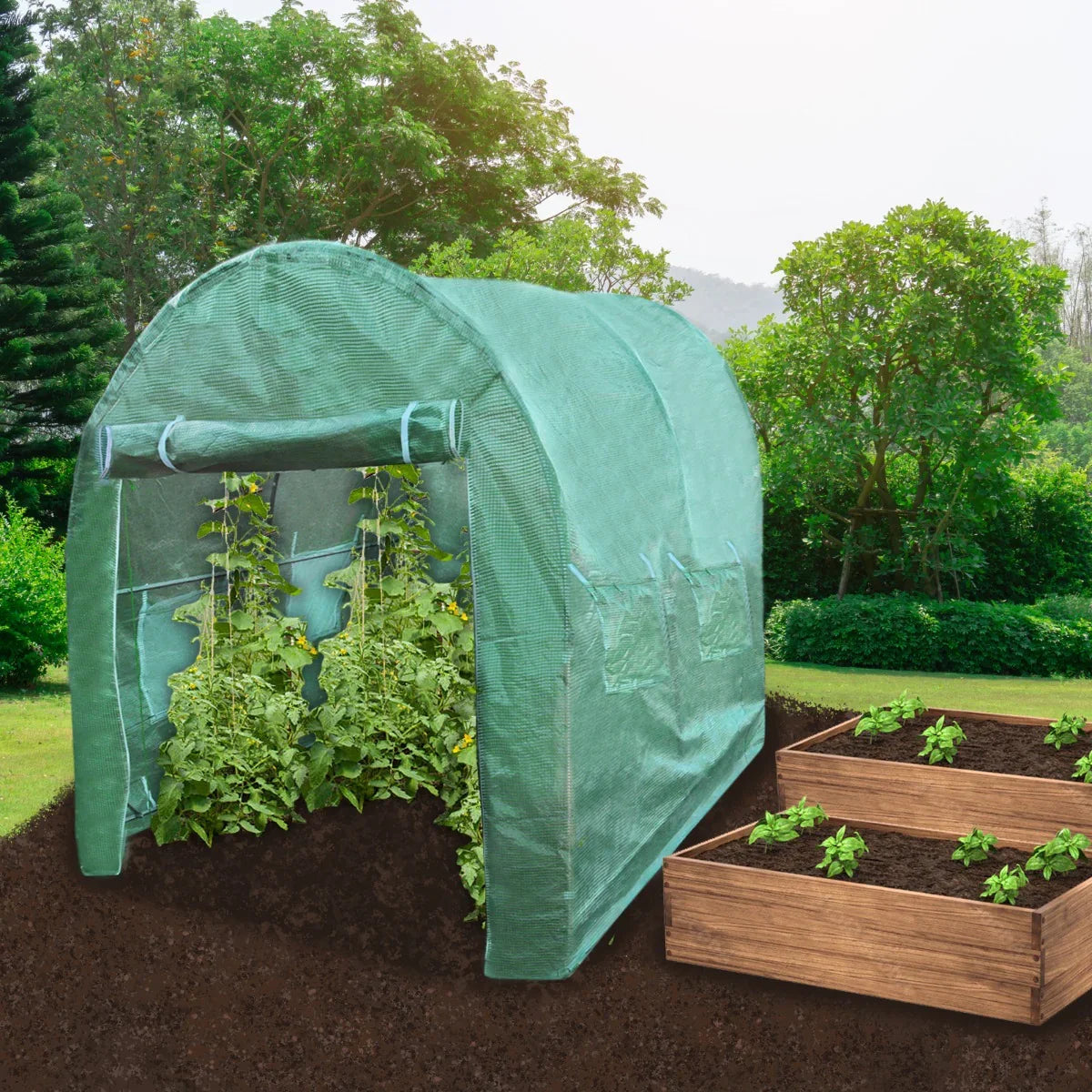 Polytunnel greenhouse in green, 3m x 2m, featuring plants growing inside and wooden garden beds nearby, set in a lush outdoor environment