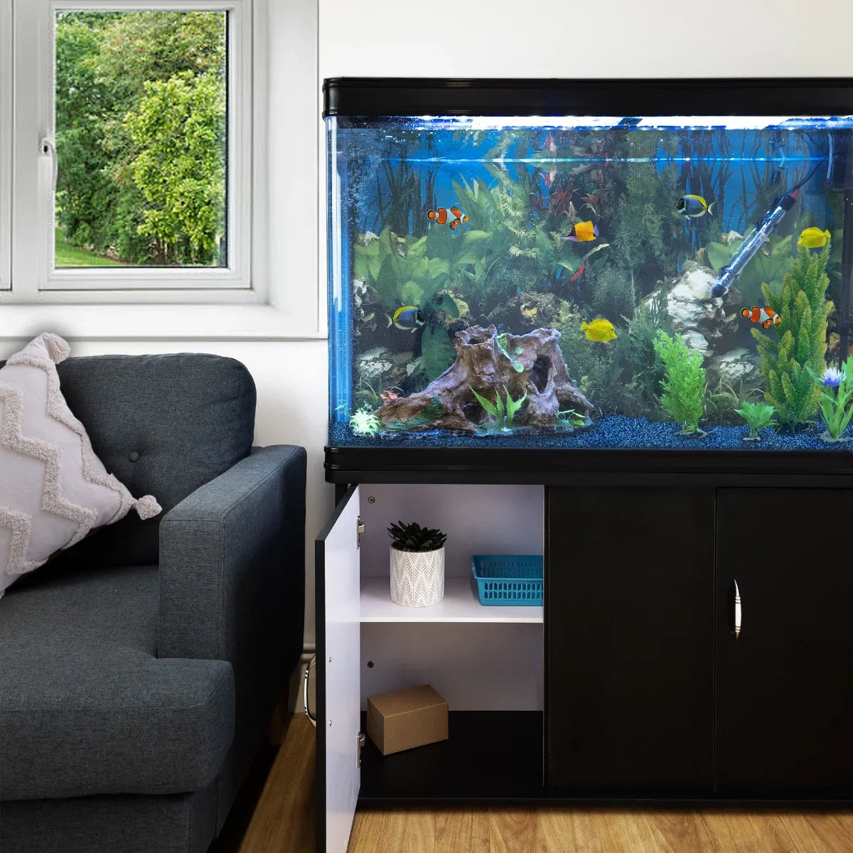 Aquarium fish tank with black cabinet, blue gravel, vibrant plants, and colorful fish, placed beside a cozy couch and window