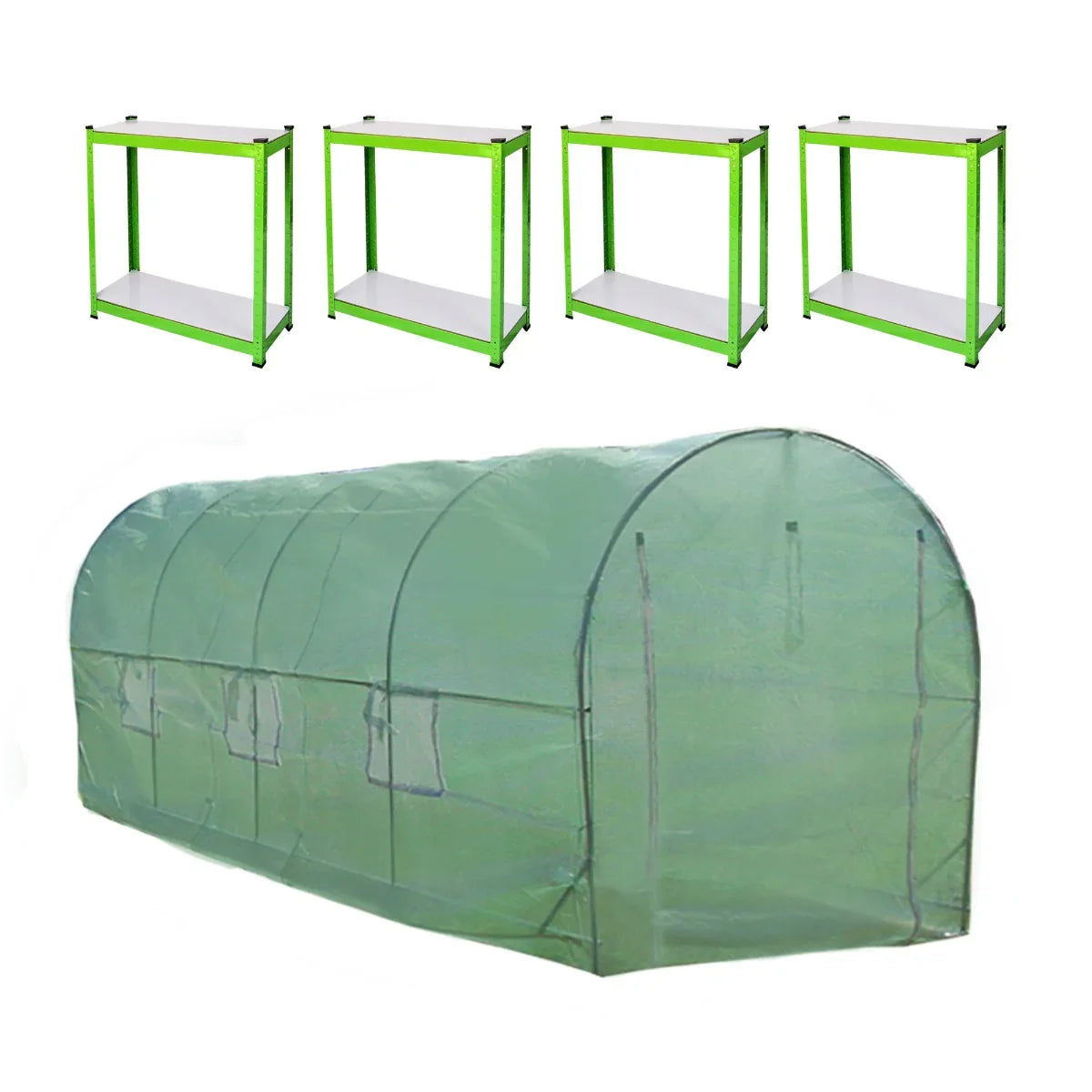 Polytunnel 25mm, 6m x 3m, featuring a green frame and transparent cover, with four green racking shelves for plant organization