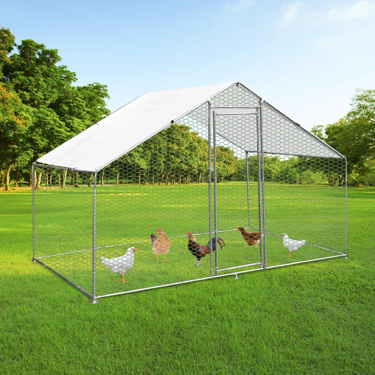Spacious 4m x 2m x 2m chicken run with a sturdy metal frame, hexagonal wire mesh, and a sloped roof, set in a grassy outdoor area