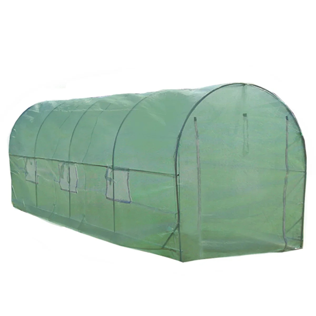 Transparent green polytunnel greenhouse measuring 6m x 3m, featuring a rounded top and multiple ventilation windows for optimal growth