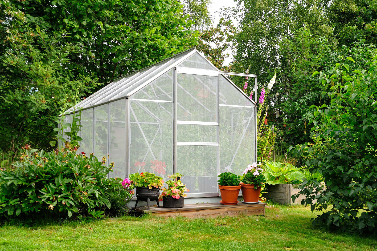 A clear greenhouse surrounded by vibrant flowers and greenery, showcasing potted plants and a wooden base in a lush garden setting
