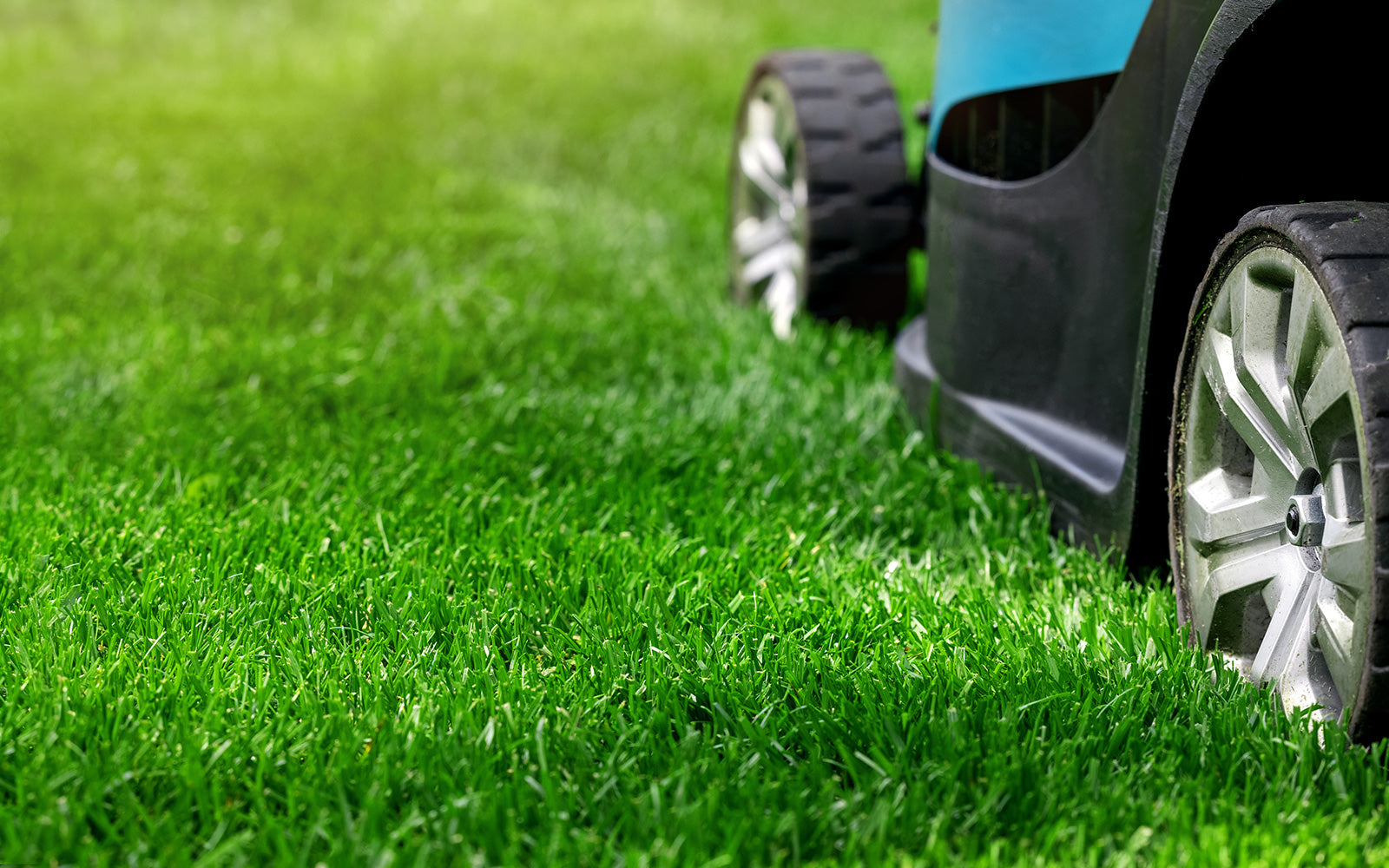 Close-up of a lawn mower wheel on lush, green grass, showcasing vibrant color and healthy texture ideal for a perfect lawn