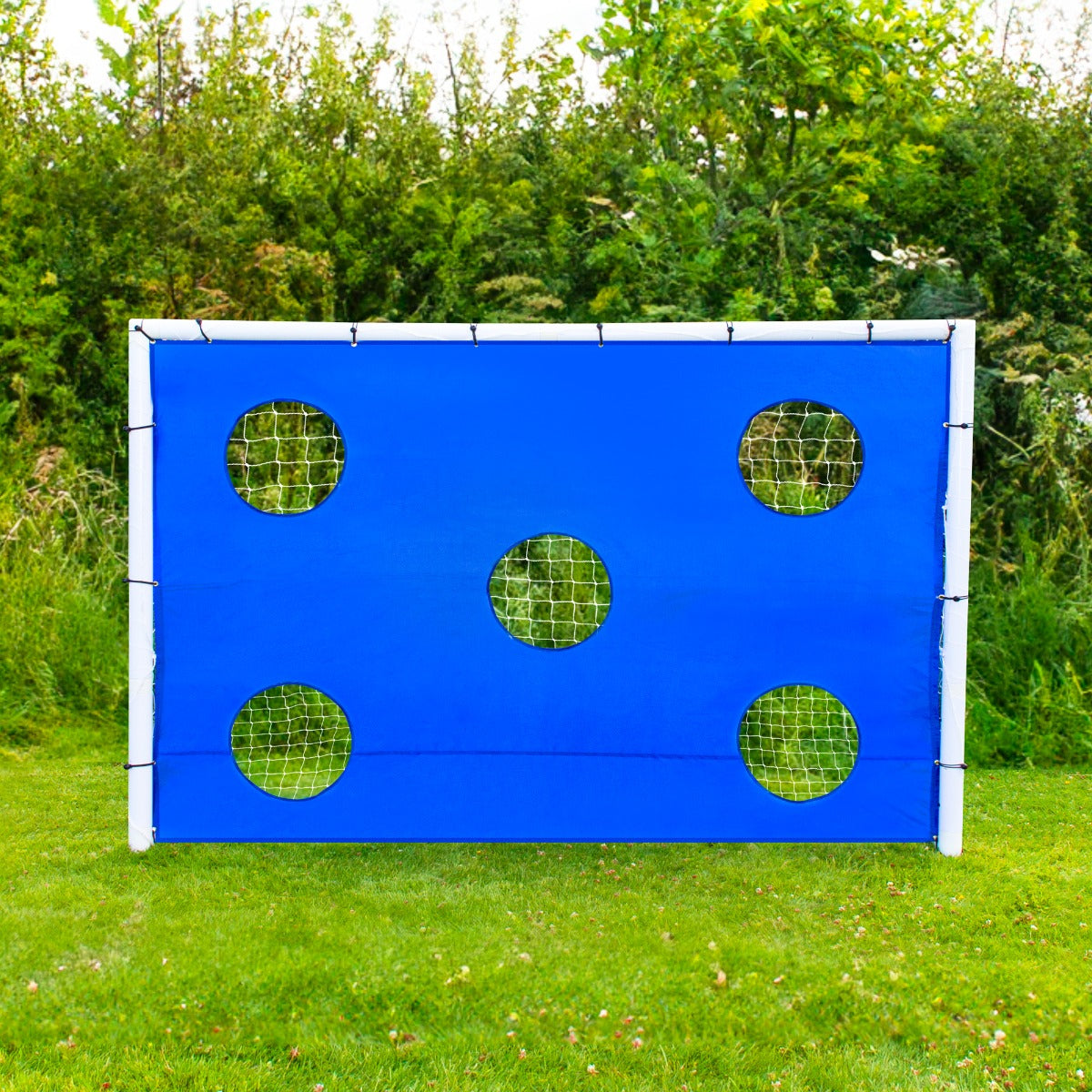 6 x 4ft Football Goal, Carry Case and Target Sheet