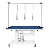 White Hydraulic Grooming Table - Blue Table Top