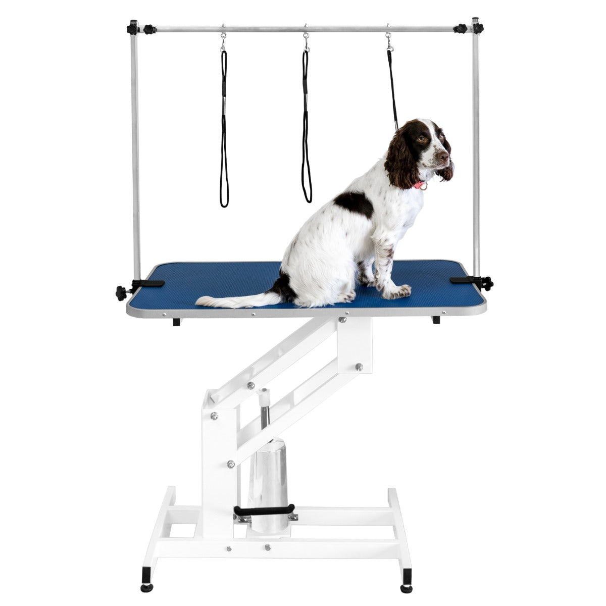 White Hydraulic Grooming Table - Blue Table Top