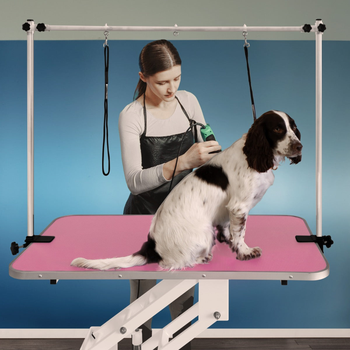 White Hydraulic Grooming Table - Pink Table Top