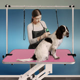 White Hydraulic Grooming Table - Pink Table Top