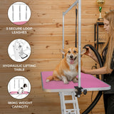 White Hydraulic Grooming Table - Pink Table Top