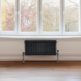 Traditional 2 Column Radiator - 300 x 832mm - Anthracite Grey