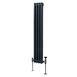 Traditional 2 Column Radiator - 1500 x 202mm - Anthracite Grey