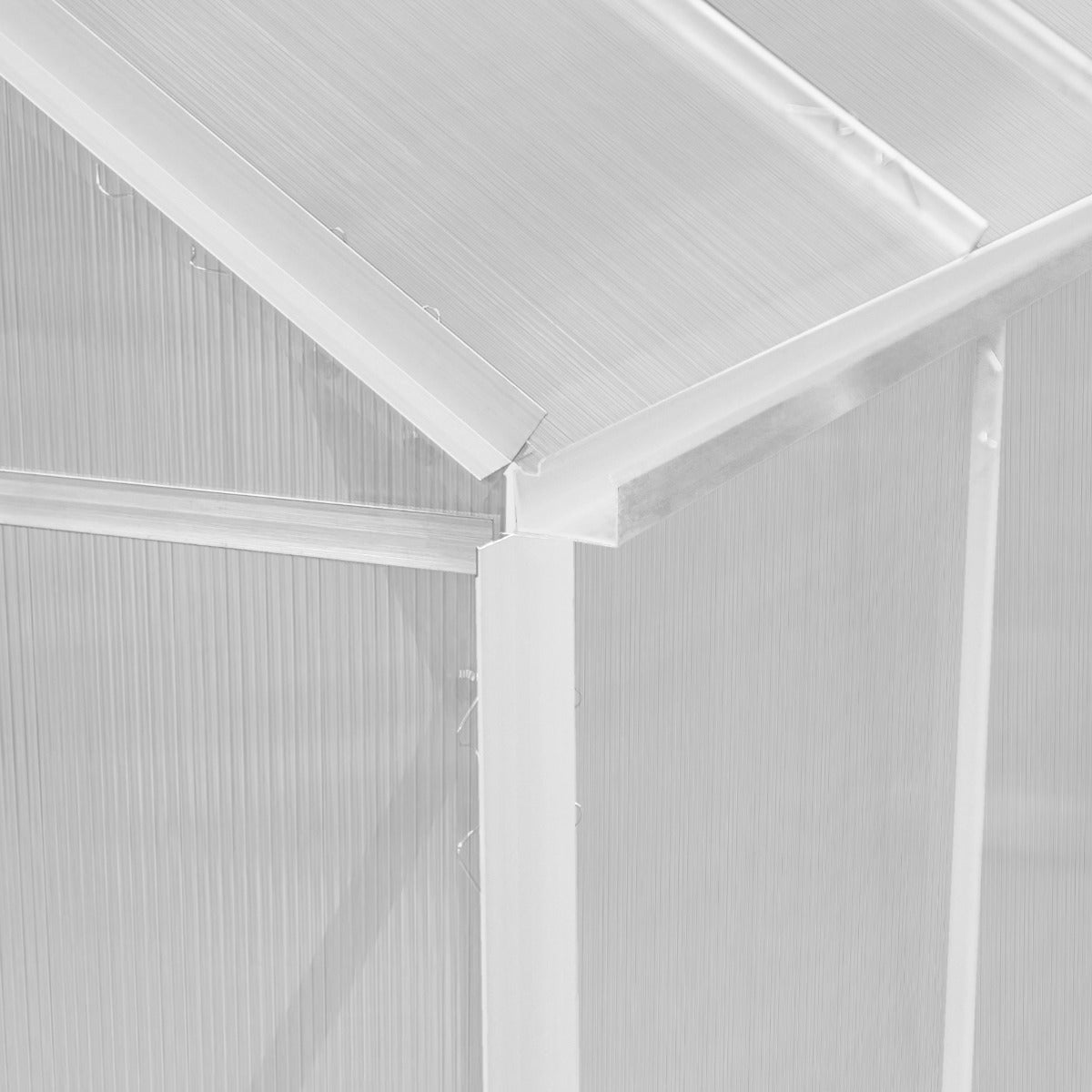 Polycarbonate Greenhouse 6ft x 8ft – Silver