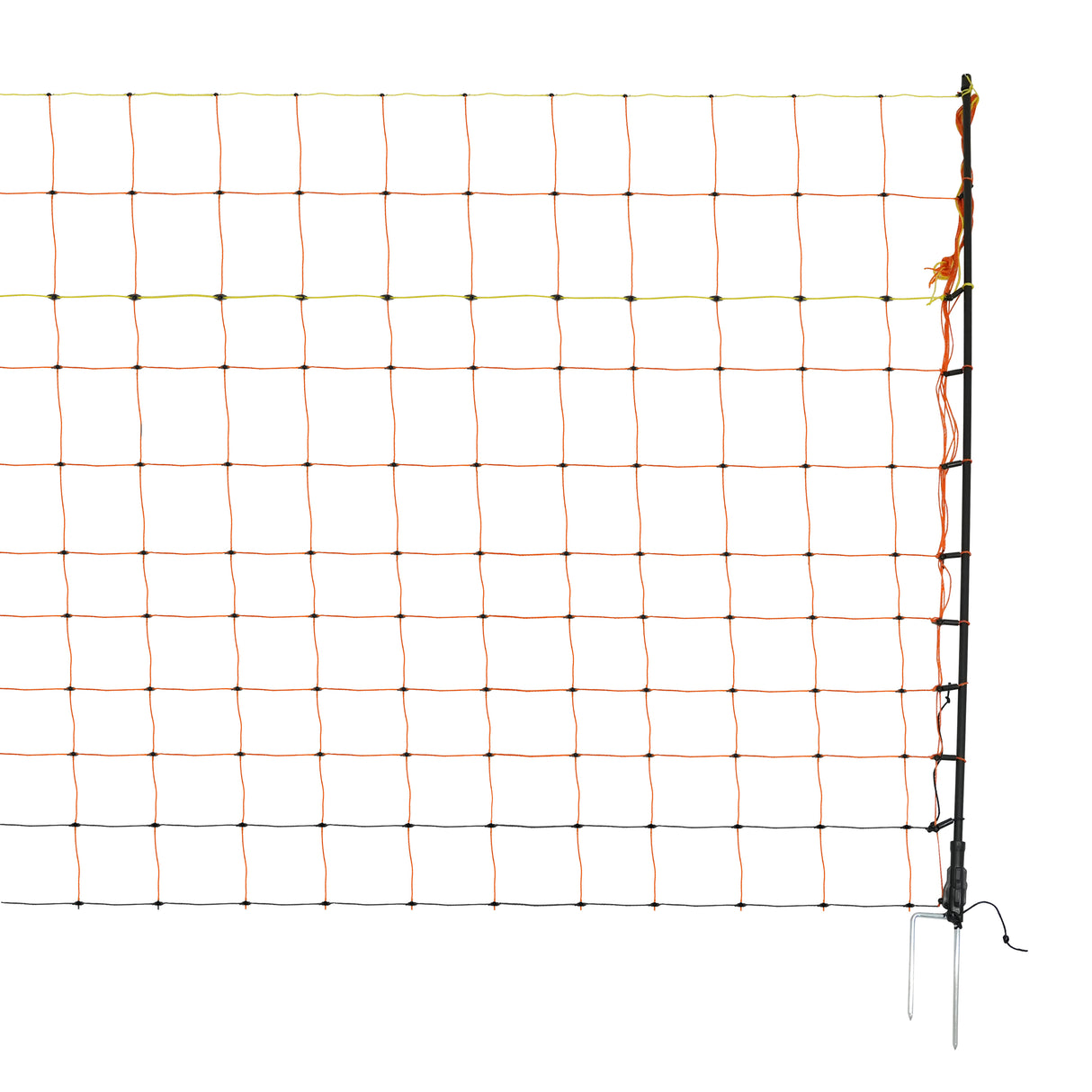 Electric Poultry Netting - 50m