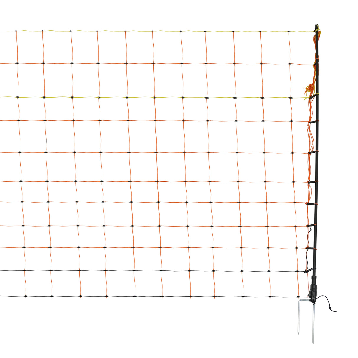 Electric Poultry Netting - 50m