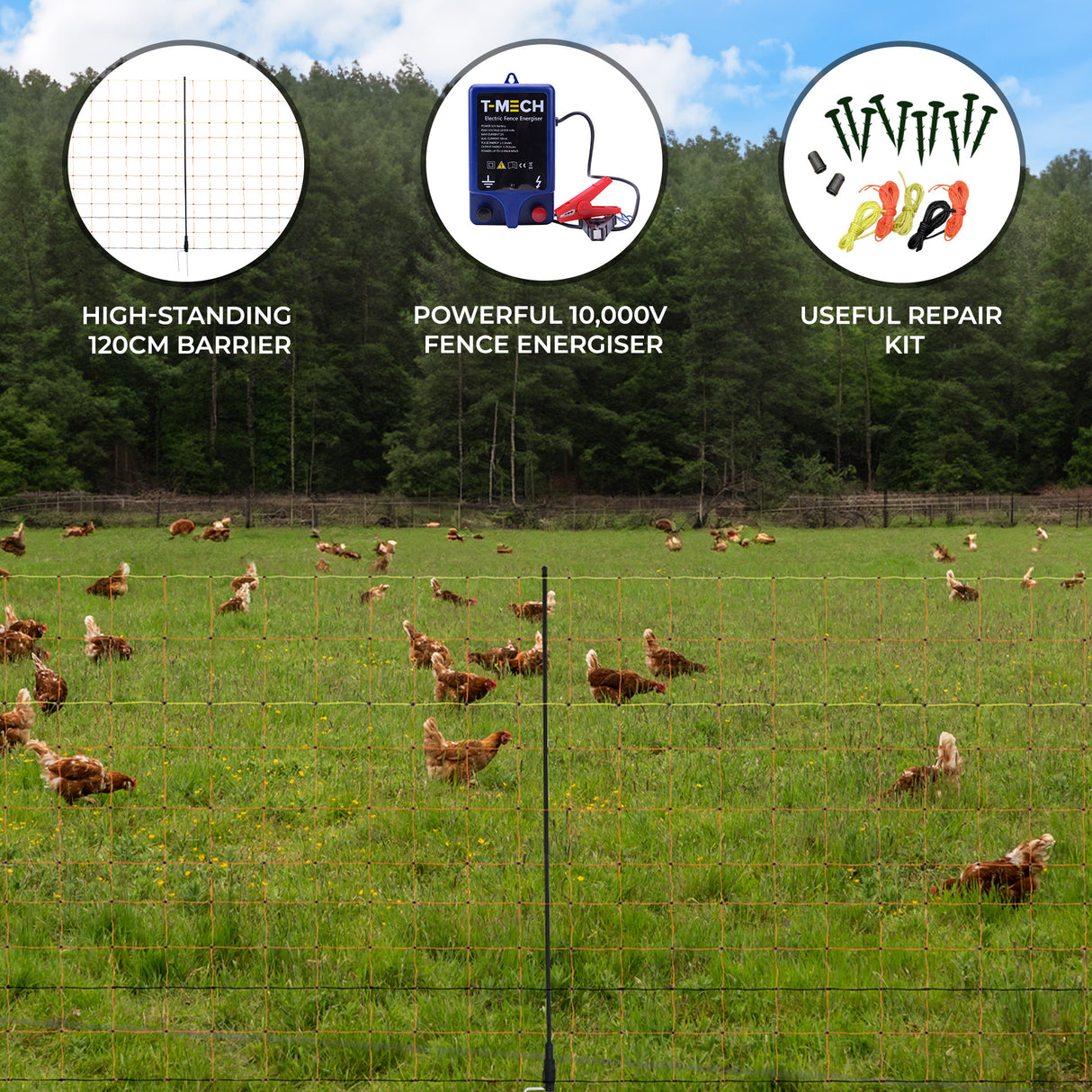 Electric Fence Energiser & Poultry Netting - 50m