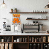 Commercial Fruit Juicer