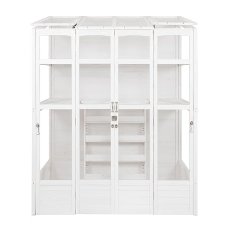 Victorian-style white greenhouse with multiple shelves, large glass panels, and wooden frame, ideal for plant cultivation and display