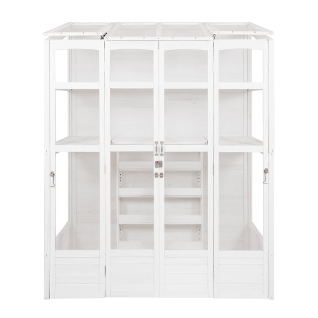 Victorian-style white greenhouse with multiple shelves, large glass panels, and wooden frame, ideal for plant cultivation and display