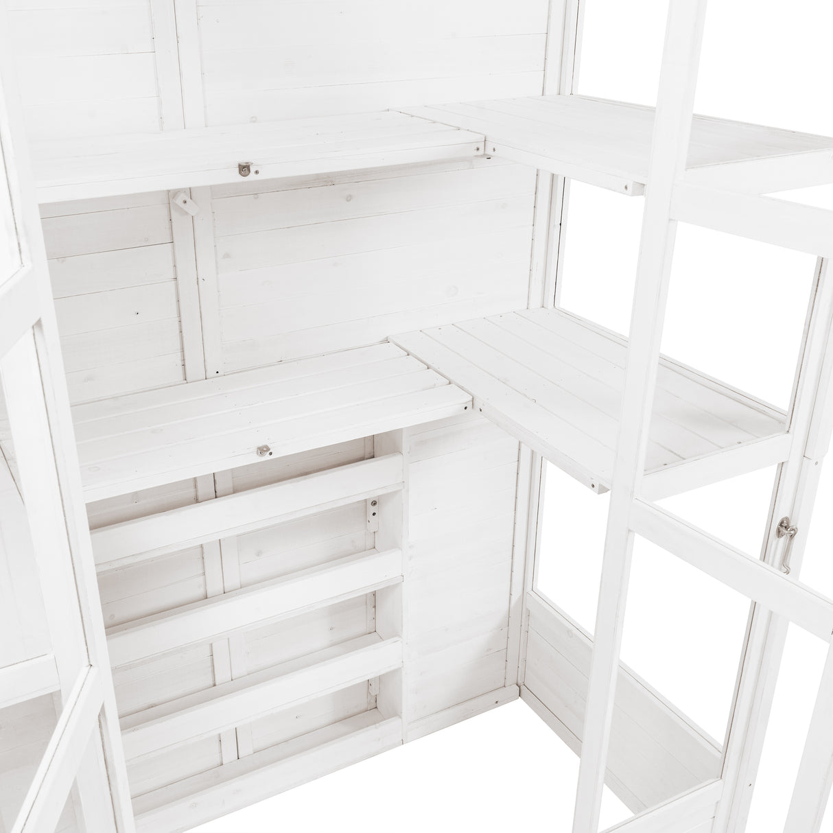 Spacious white Victorian greenhouse interior with wooden shelves, featuring a clean, minimalist design and ample natural light