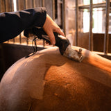 Cordless black horse clippers in use, trimming a horse's shiny brown coat in a stable setting with wooden stalls