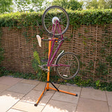 Bike Mechanic Repair Stand
