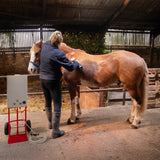 Horse Shower & Cordless Clippers - Red