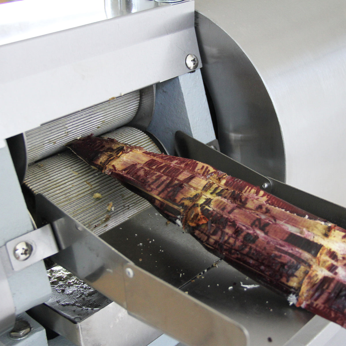 Close-up of the KuKoo sugar cane press extracting juice from a thick, textured sugar cane stalk with metallic components visible
