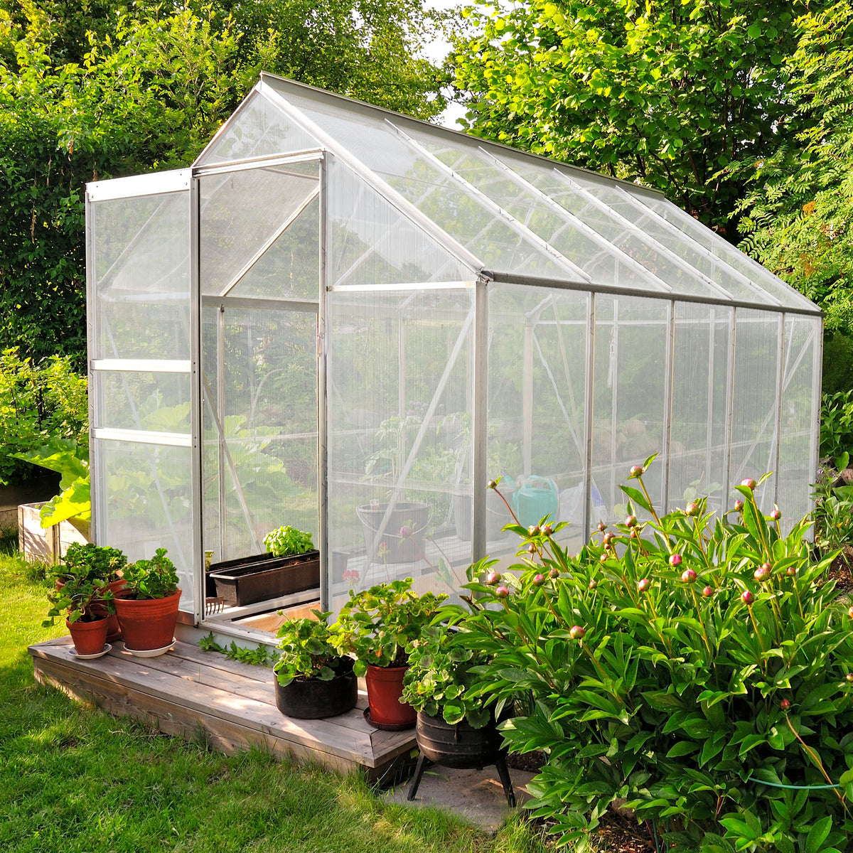 Clear polycarbonate greenhouse with a sloped roof, surrounded by vibrant green plants and potted flowers on a wooden deck