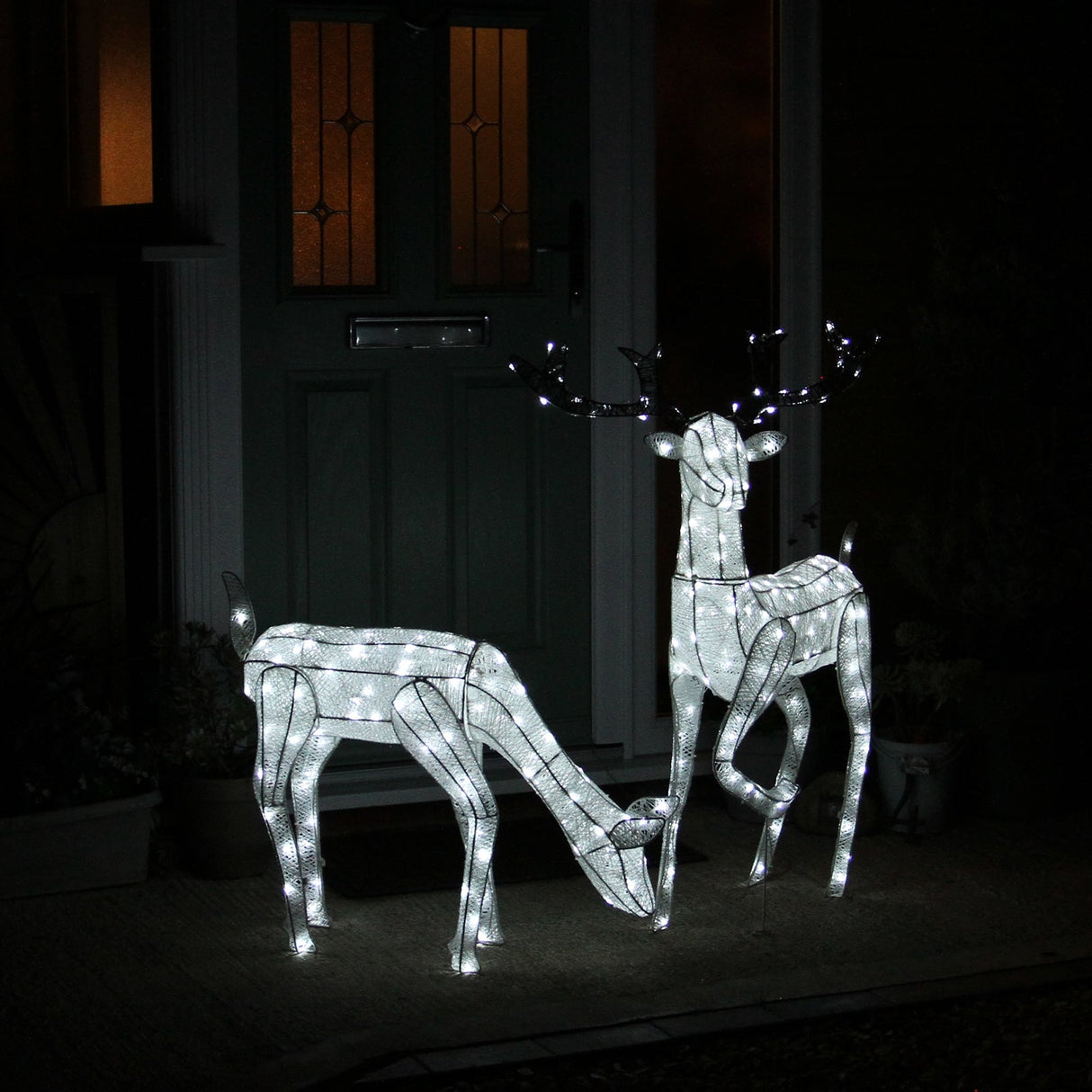 Large Light Up Stag & Doe Reindeer Set